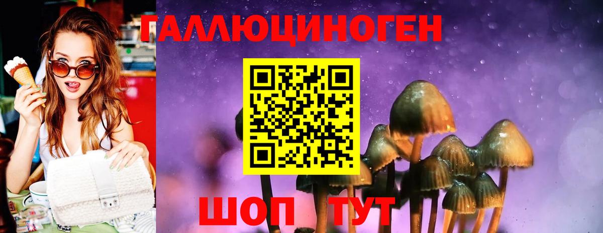 Галлюциногенные грибы Magic Shrooms Можайск